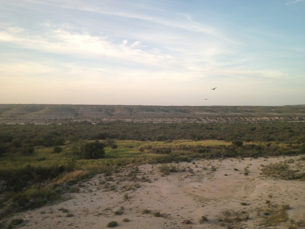 lots of shades of desert green