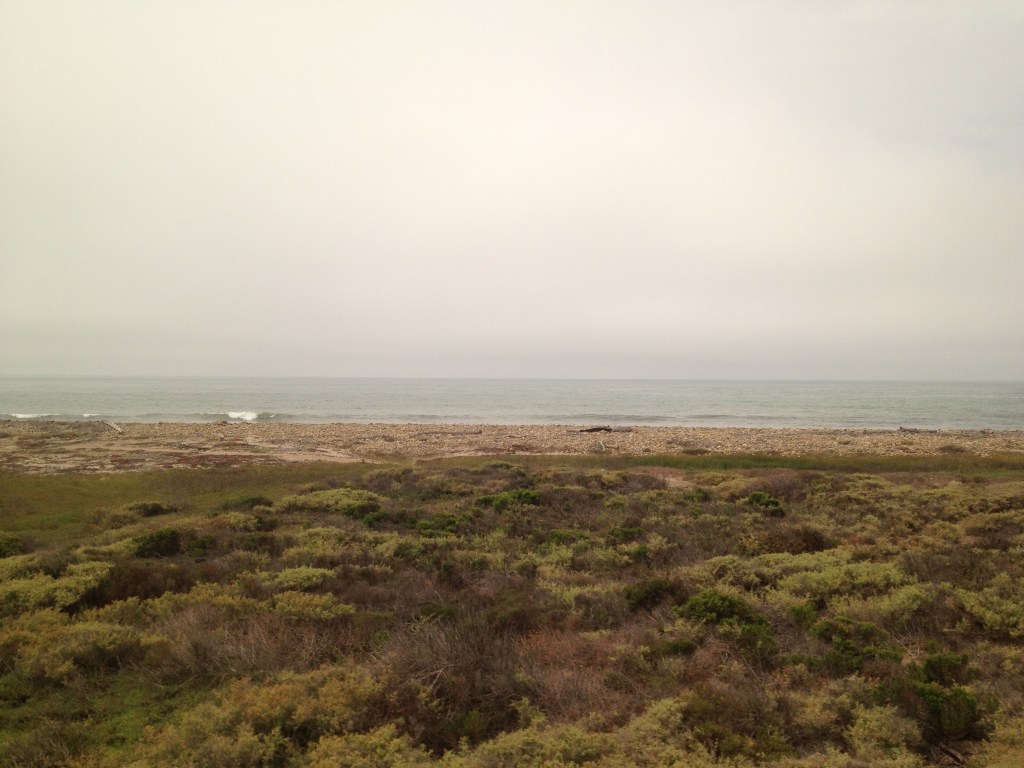 It's the Pacific - honest!