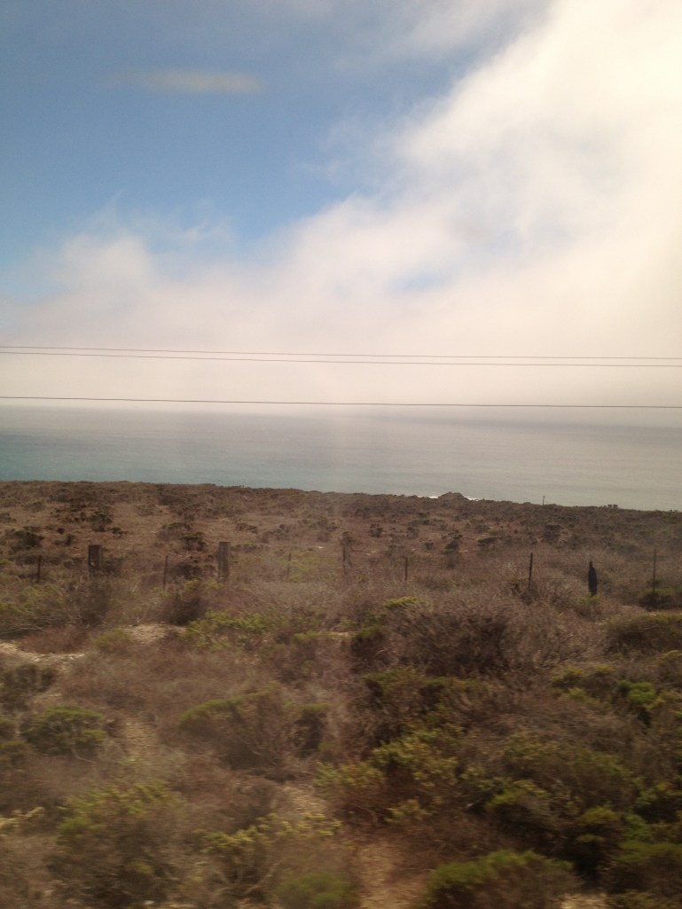 IMG_0956 entering the mist