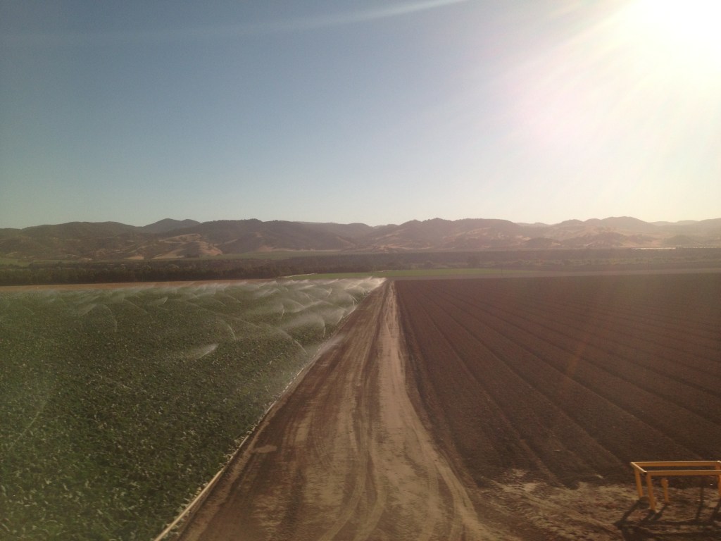 Irrigation