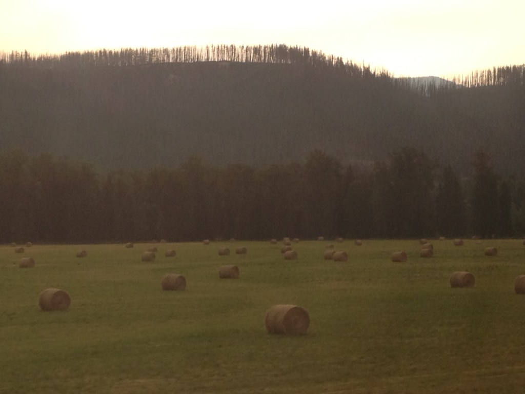 Glacier Park Farm