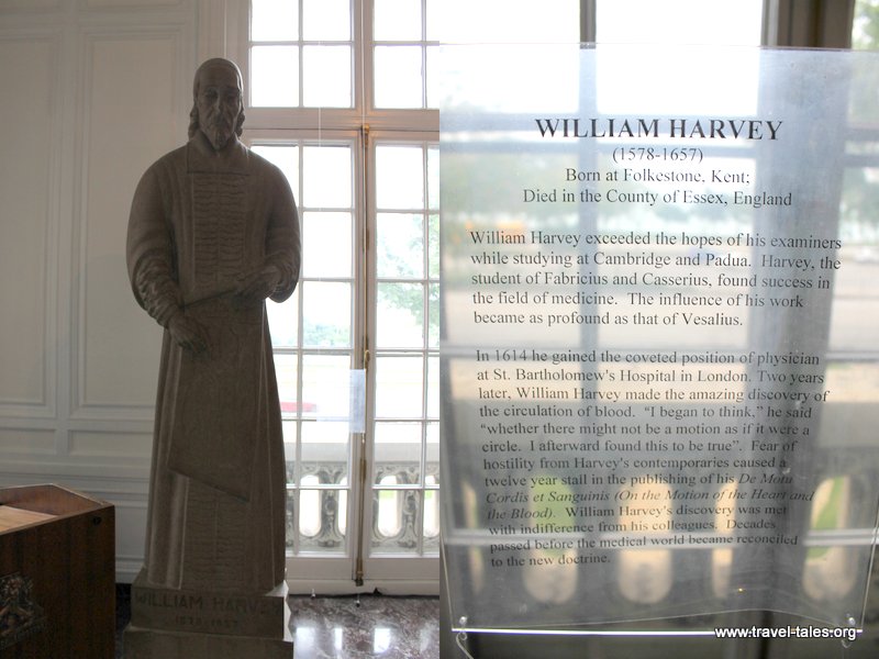 30 Museum of surgical sciene3