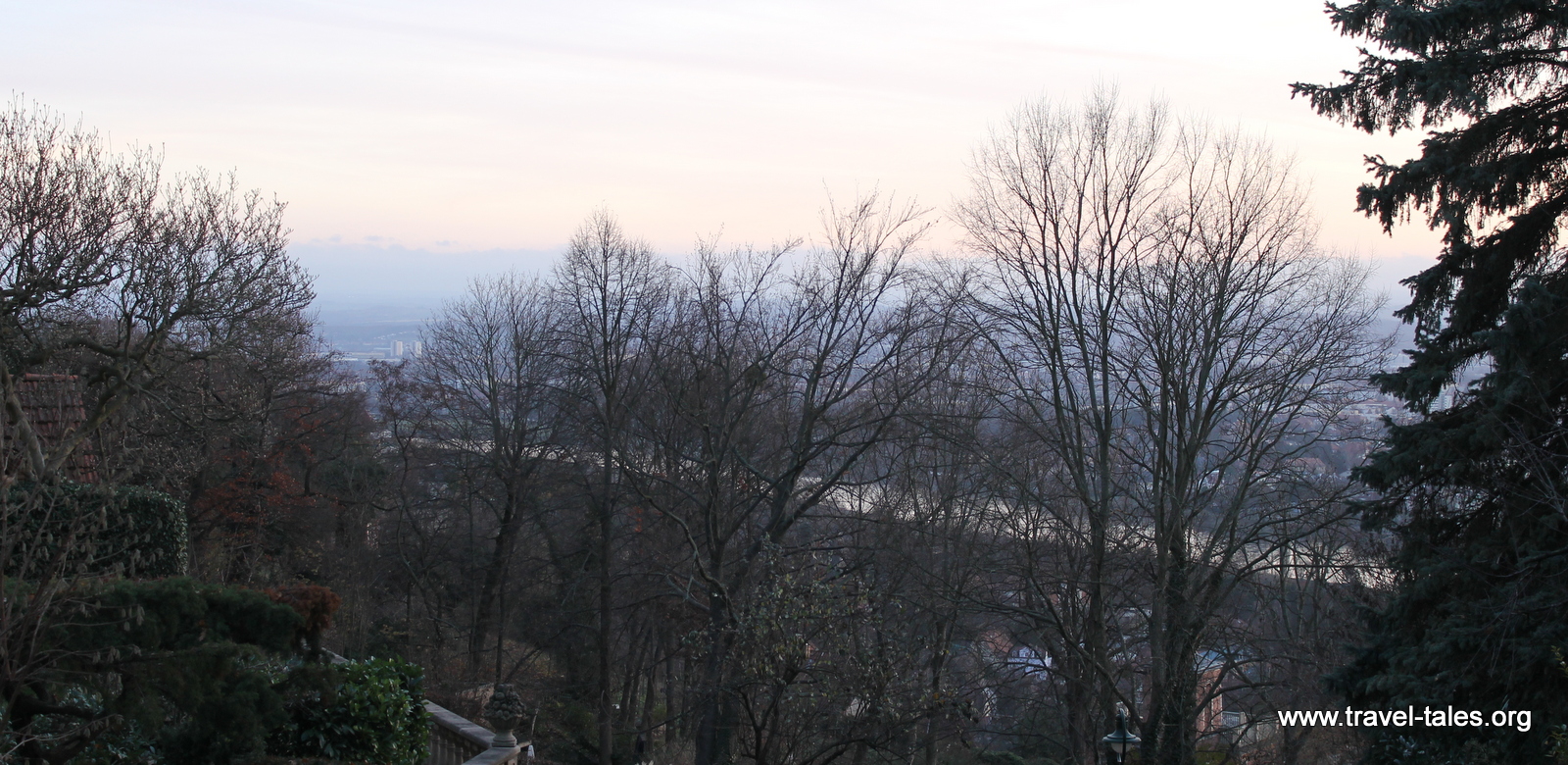 View of the river Elbe through leafless trees
